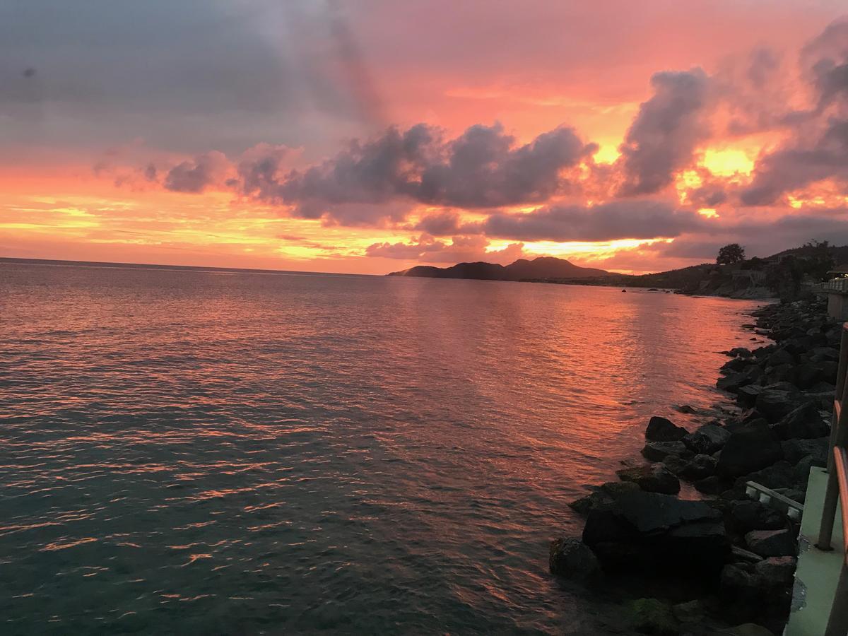 Flamboyan Guest House Vieques Bagian luar foto